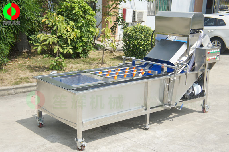 全網鏈輸送洗菜機
