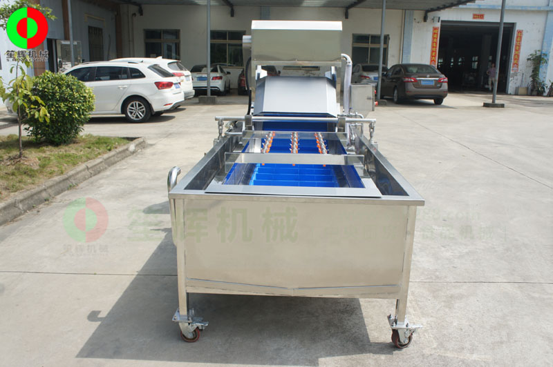 全網鏈輸送洗菜機