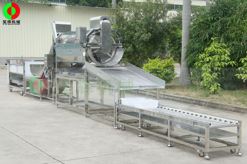 鯪魚加工生產(chǎn)線