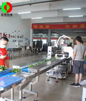 枕式蔬果包裝生產(chǎn)線,客戶現(xiàn)場測試驗(yàn)收！