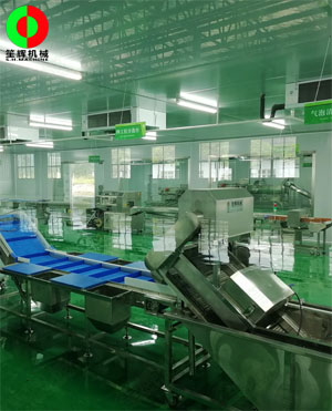 廣西蒙山標準化凈菜加工車間項目，毛菜加工車間順利完工！