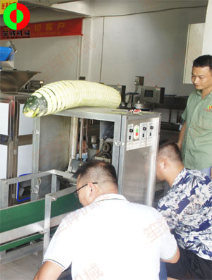 東莞客戶來廠現場測試臥式冬瓜削皮加工機械設備！