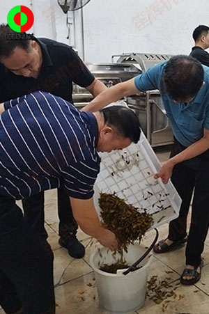 客戶來廠測試驗貨果蔬清洗加工設備！