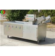 氣泡洗菜機/臭氧消毒洗菜機 QX-22（視頻）