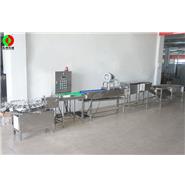 打蛋生產(chǎn)線/清洗、風(fēng)干、光檢、24頭打蛋生產(chǎn)線(視頻)