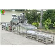 鯪魚加工生產線/豆豉鯪魚生產線/魚類加工生產線