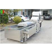 全網(wǎng)鏈氣泡洗菜機(jī)/氣泡洗菜機(jī)/ 網(wǎng)鏈輸送洗菜機(jī) Q-42B